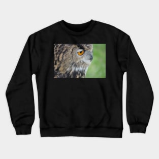 Eagle's Eye Crewneck Sweatshirt